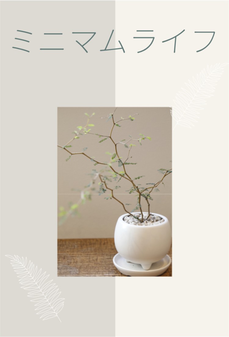ミニマムライフ